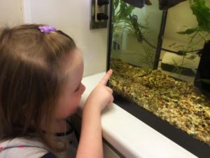 Little girl at St. Michal's pointing at fish in tank donated by OVAS