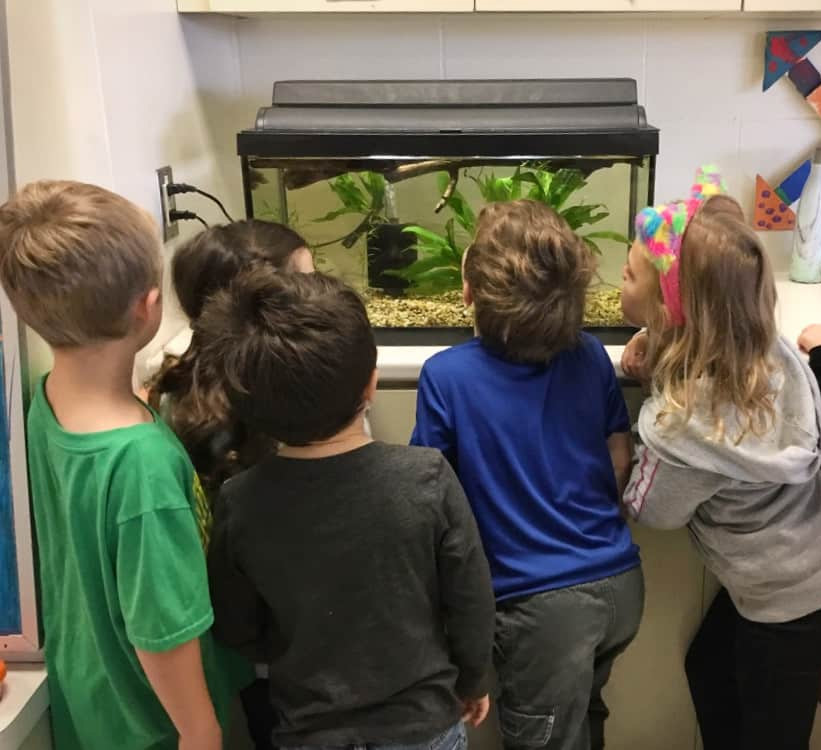 children looking at completed aquarium