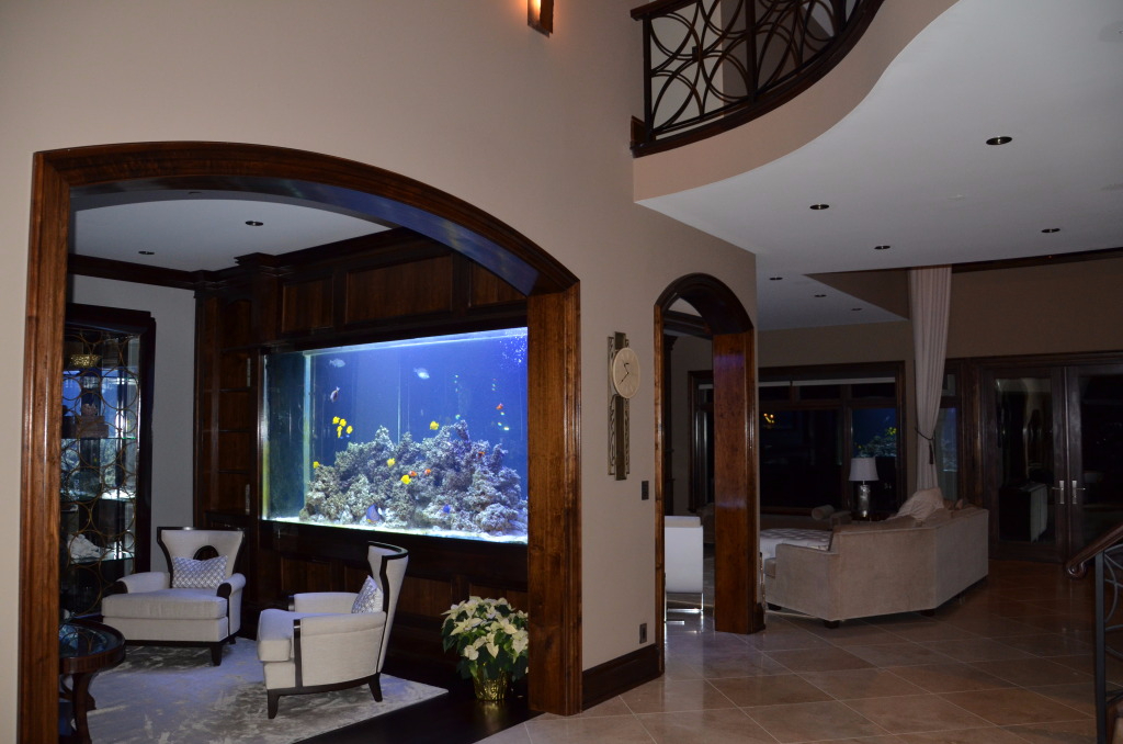 Jan 22, 2018: Biotopes and Building Large Aquariums