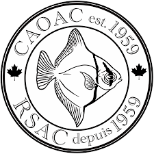 CAOAC Logo