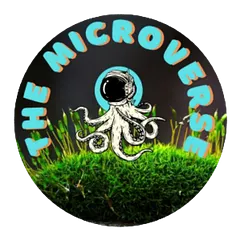 April 28 – Meeting
