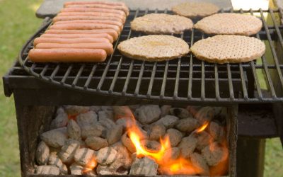 OVAS Summer BBQ Potluck 2025