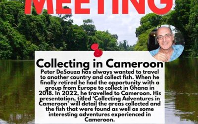 September 22 – Meeting