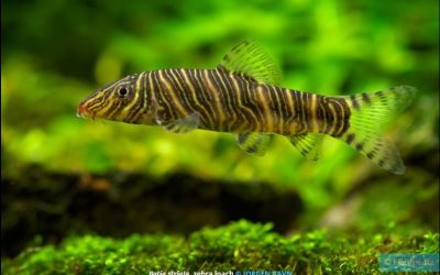 October 27 – Meeting