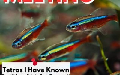 January 26 2026 – Meeting