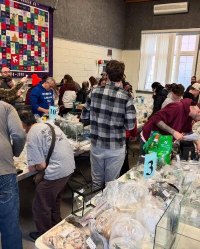 Buyers Looking at Items