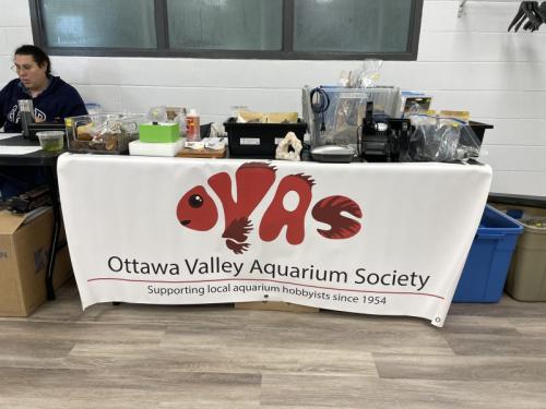OVAS Banner